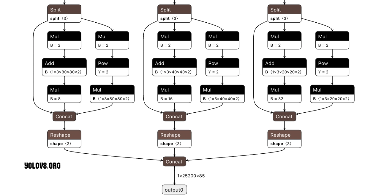 YOLOv8 Architecture: Just Overview