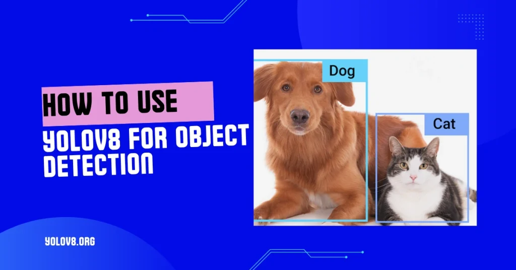 How to Use YOLOv8 For Object Detection