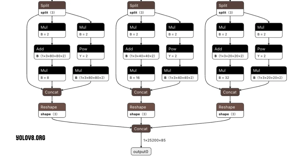 Understanding YOLOv8 Label Format